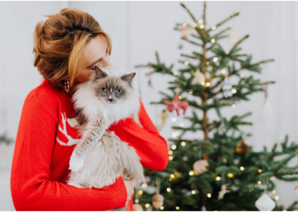 The Grandeur of Giant Artificial Christmas Trees: A Symbolic Decoration