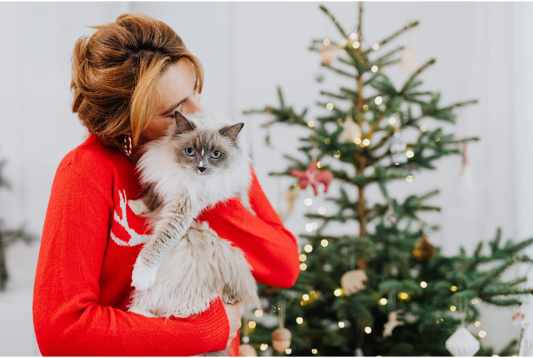 The Grandeur of Giant Artificial Christmas Trees: A Symbolic Decoration