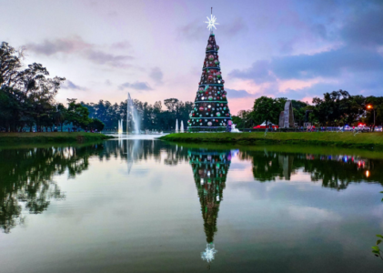 Magic of a Christmas Photo Shoot Studio in Naples