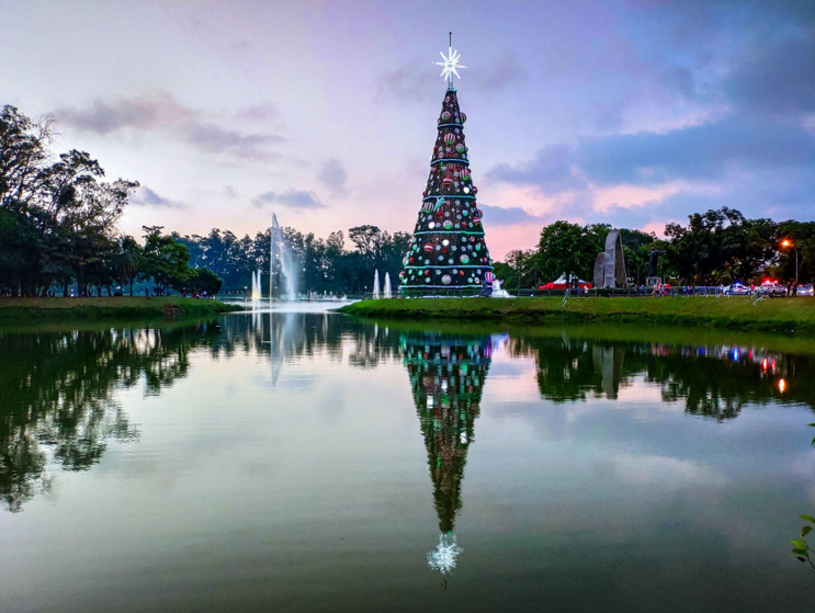 Magic of a Christmas Photo Shoot Studio in Naples