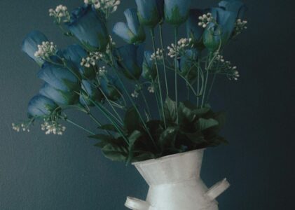 Transform Spaces with the Appeal of Artificial Trees
